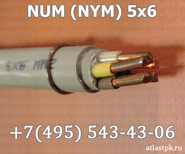 NUM (NYM) 5х6 фото