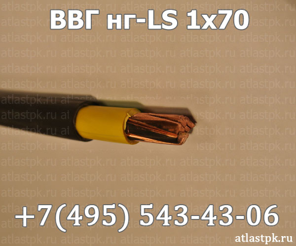 ВВГнг(А)-LS 1х70 фото