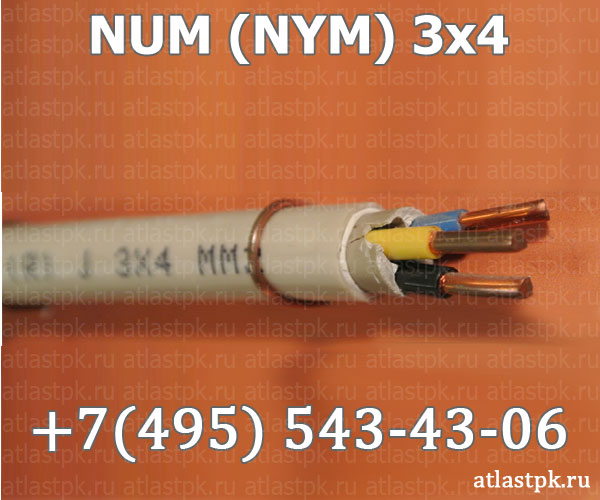 NUM (NYM) 3x4 фото