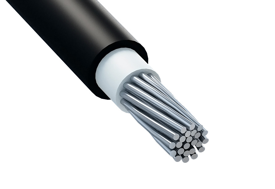 АсВВГнг(А)-LS 1х50 фото