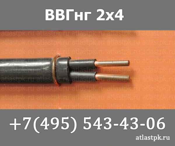 ВВГ-Пнг(А) 2 х 4 фото