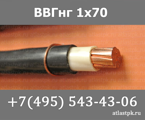 ВВГнг(А) 1 х 70 фото