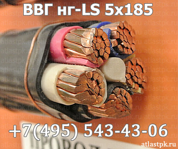 ВВГнг(А)-LS 5х185 фото
