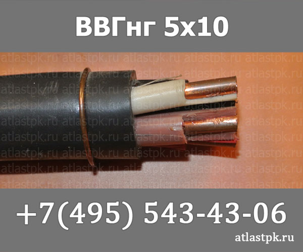 ВВГнг(А) 5 х 10 фото