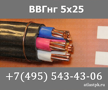 ВВГнг(А) 5 х 25 мк фото
