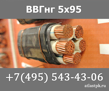 ВВГнг(А) 5 х 95 фото