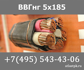ВВГнг(А) 5 х 185 фото