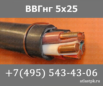 ВВГнг(А) 5 х 25 ок фото